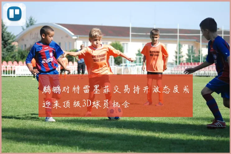 鹈鹕对特雷墨菲交易持开放态度或迎来顶级3D球员机会
